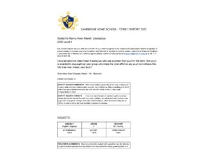 Horizontal-CHS1-Report-T1-2020-Heer-Hitesh--Usadadiya-1